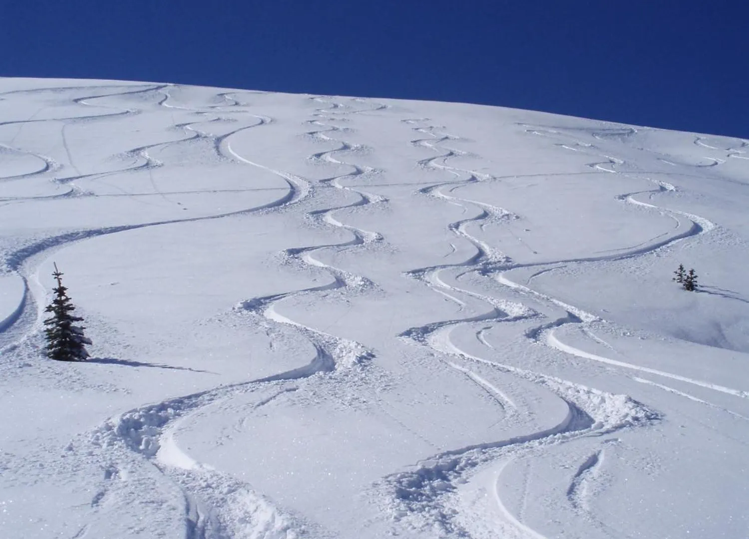 Chalet Belle Neige Suites: Whistler